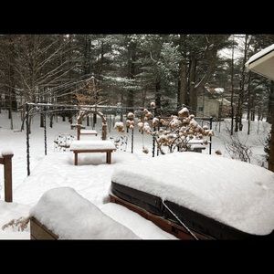 Meet your Posher, Jacqueline